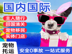 吴川机场快运国际宠物托运 【国